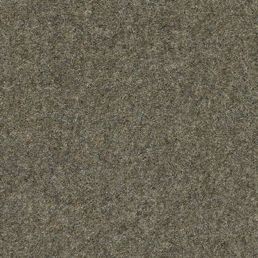 Bamburgh Heritage Elite - Bark