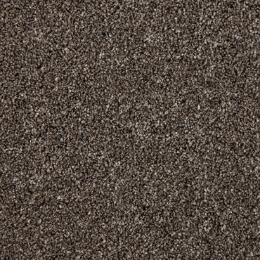 Mauritius - Beaver Brown