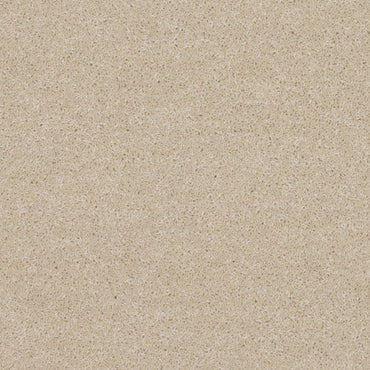 Bamburgh Heritage - Cobweb