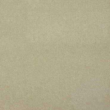 Foxley Fashion - Cicogna