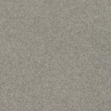 Bamburgh Heritage - Furious Dog