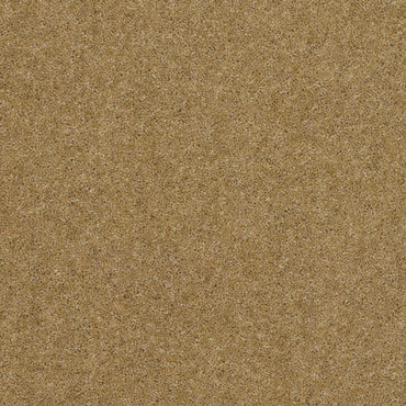 Bamburgh Heritage - Honey Bear