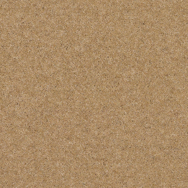 Bamburgh Heritage - Little Lion