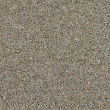 Bamburgh Heritage - Magnificent Mushroom