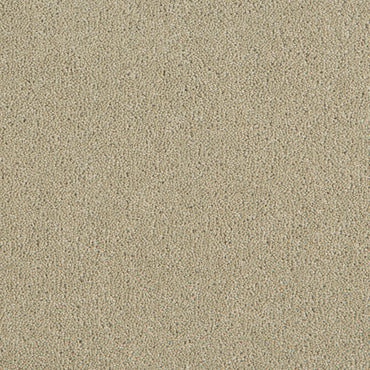 Queen - Pleasant Pasture