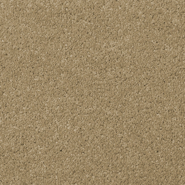 Beacon Twist - Taupe