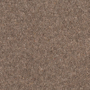 King - Tender Truffle